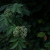 nature-photography-postcards-recycled-paper nature-photography-postcards-recycled-paper.jpg