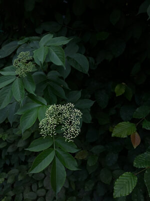 nature-photography-postcards-recycled-paper.jpg