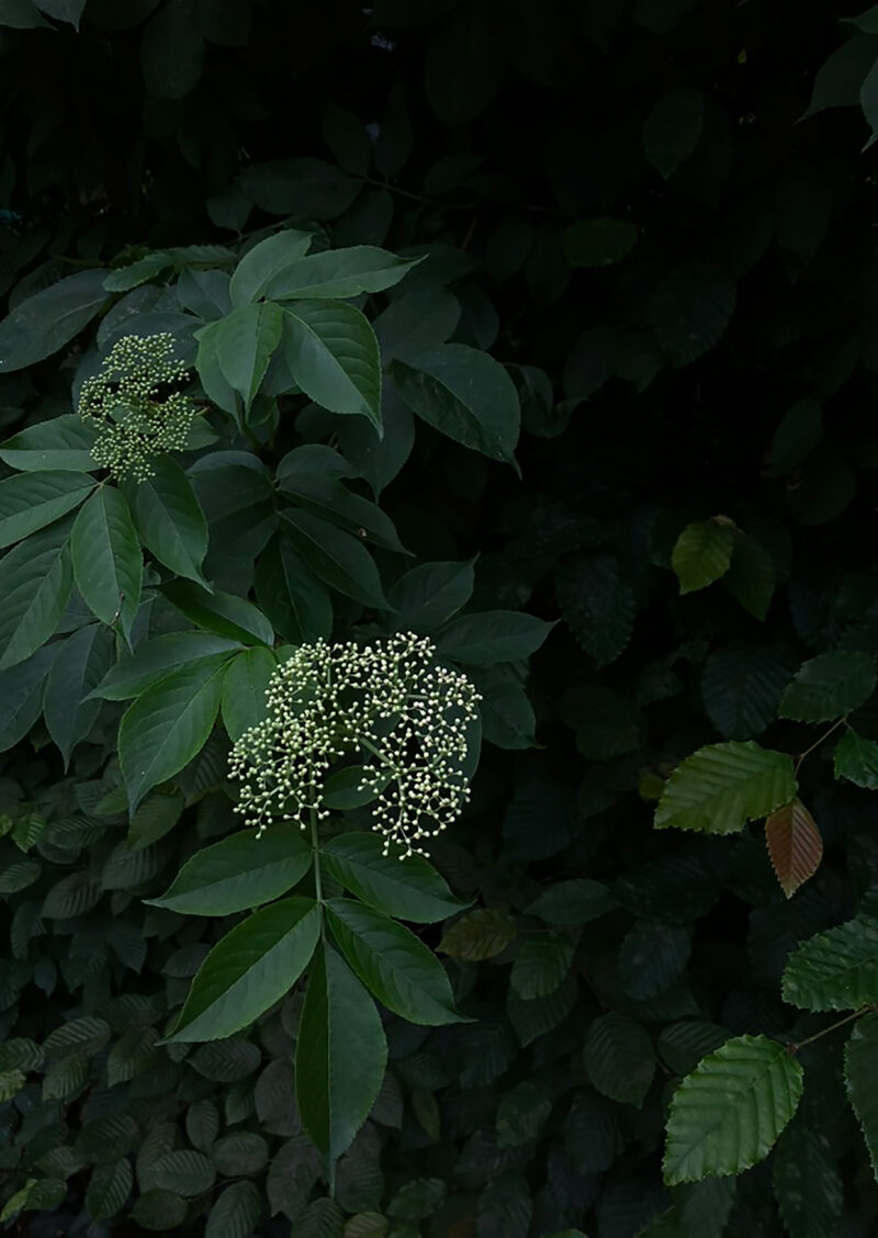 nature-photography-postcards-recycled-paper nature-photography-postcards-recycled-paper.jpg