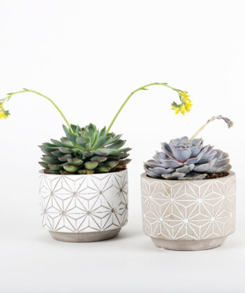 product photography and visual content