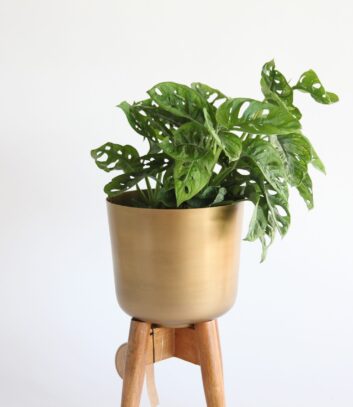 product photography and visual content